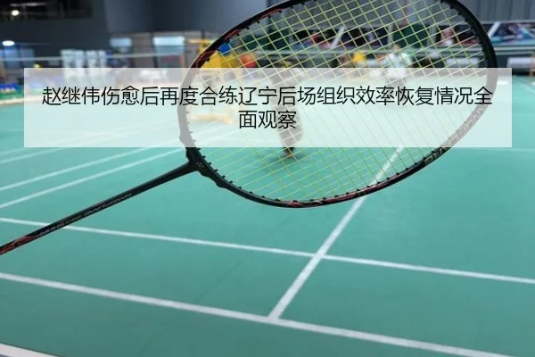 赵继伟伤愈后再度合练辽宁后场组织效率恢复情况全面观察